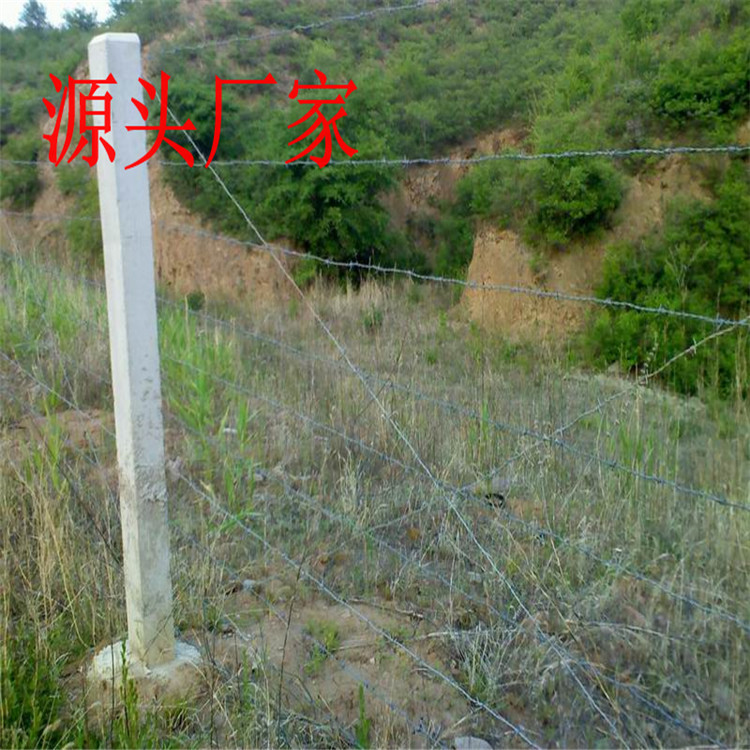 刺絲圍欄安裝 刺絲圍欄安裝