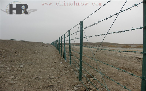 刺繩安裝后效果圖 刺繩安裝后效果圖