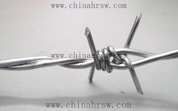 雙股刺繩 雙股刺繩