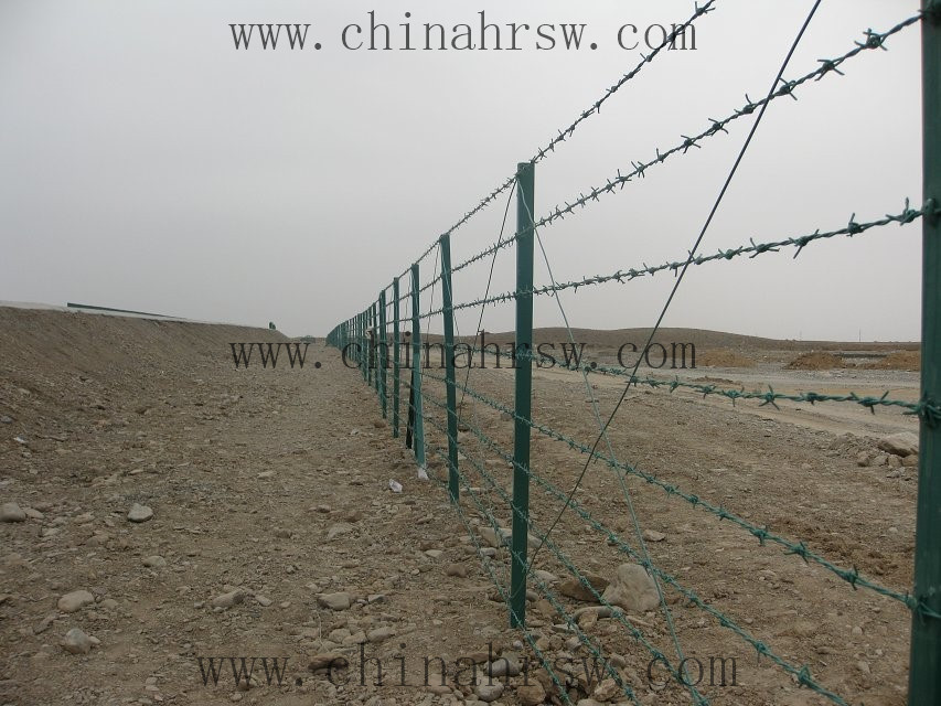 刺繩防護(hù)網(wǎng) 刺繩防護(hù)網(wǎng)