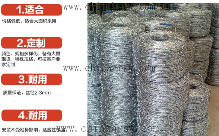 刺繩防護(hù)網(wǎng) 刺繩防護(hù)網(wǎng)