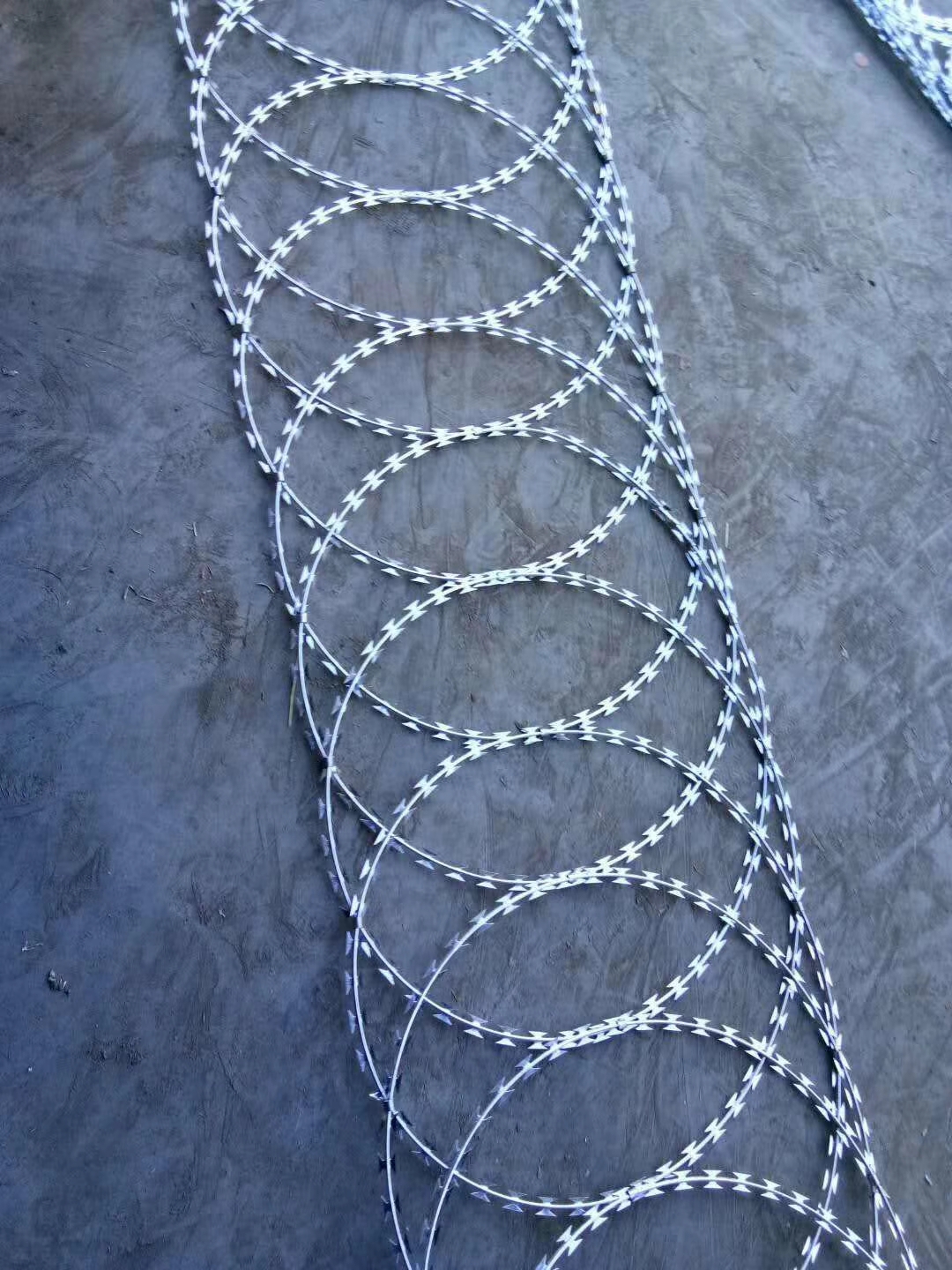 mmexport1515771042542.jpg mmexport1515771042542.jpg